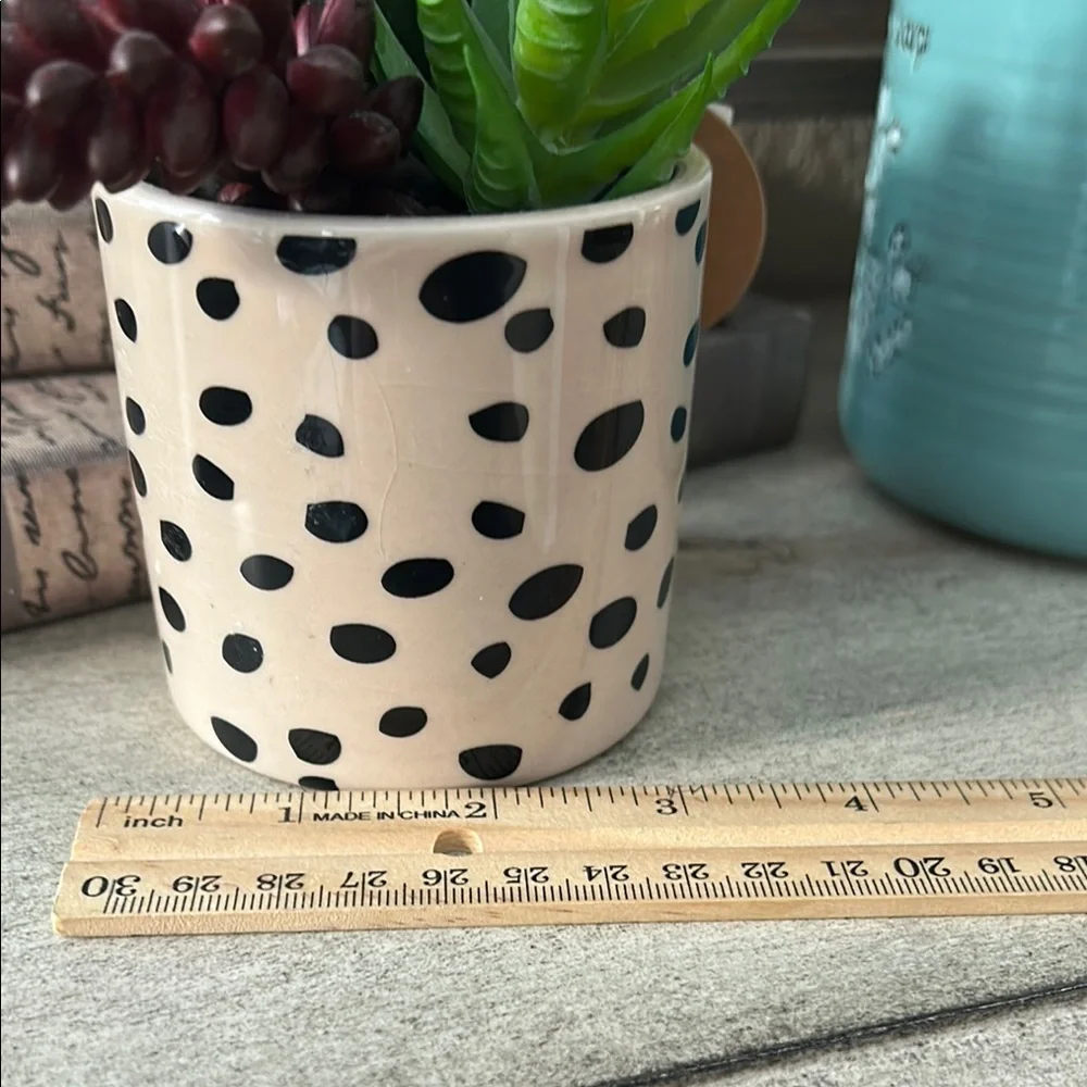 Polka Dot cheetah Planter with Succulents